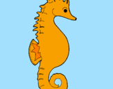 Coloring page Sea horse painted bydani
