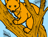 Coloring page Pine marten in tree painted bypere