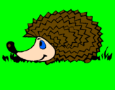 Coloring page Hedgehog painted bycharlotte
