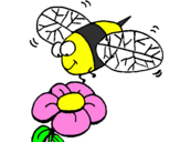 Coloring page Wasp and flower painted byBee