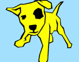 Coloring page Puppy with a spot over its eye painted byDOG  and   doG