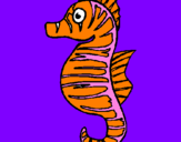 Coloring page Sea horse painted bytibus