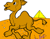 Coloring page Camel painted byleidy