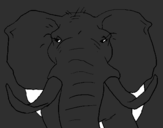 Coloring page African elephant painted byAmelia
