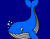 Coloring page Little whale painted bybrit