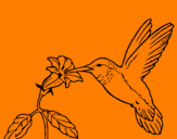 Coloring page Hummingbird and flower painted bycamille38
