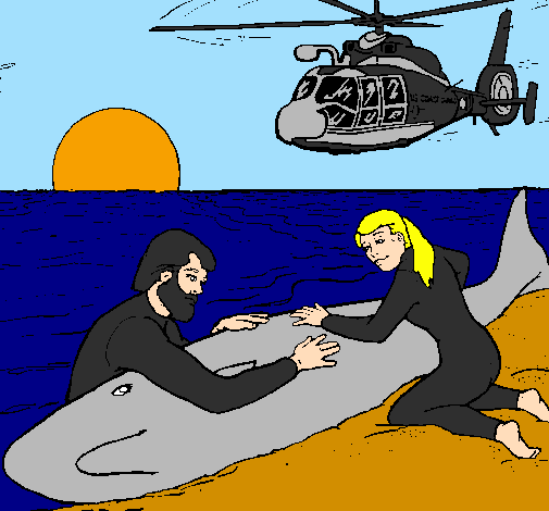 Whale rescue