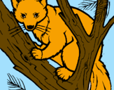 Coloring page Pine marten in tree painted bydany12