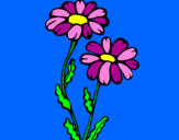 Coloring page Daisies painted byanna