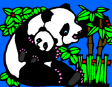 Coloring page Panda mother painted bycourtney
