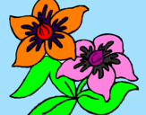 Coloring page Flowers painted bykristyn