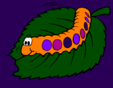 Coloring page Caterpillar eating painted byladybug