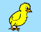 Coloring page Chick painted bymoshi count