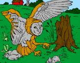 Coloring page Owl hunting painted byCoco Aka Whitebull :o