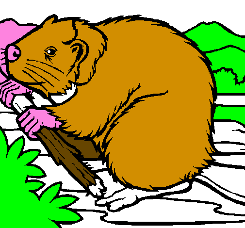 Coloring page Beaver  painted bygael