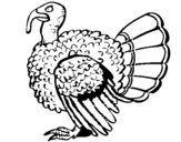 Coloring page Turkey painted byyuan