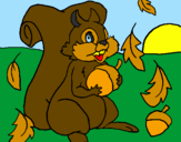 Coloring page Squirrel painted bymichele