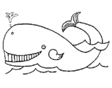Coloring page Whale painted byyuan