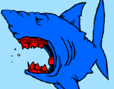 Coloring page Shark painted byf