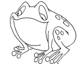 Coloring page Toad painted byDucky The Duck
