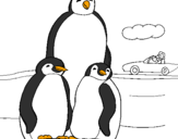 Coloring page Penguin family painted byPinguin