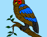 Coloring page Barn owl painted bymy life curcle