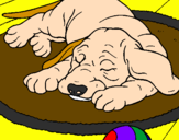 Coloring page Sleeping dog painted bymartin lopez california