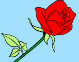 Coloring page Rose painted byRebecca