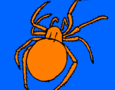 Coloring page Poisonous spider painted byanonymous
