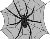 Coloring page Spider painted bymicah 