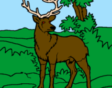 Coloring page Adult deer painted byCandie