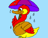 Coloring page Duck in the rain painted byMarga