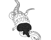 Coloring page Anaconda and caiman painted by vv