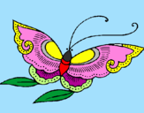 Coloring page Butterfly painted byRose
