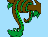 Coloring page Snake hanging from a tree painted byCOLE K.