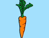 Coloring page carrot painted byemily