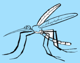 Coloring page Mosquito painted byeric