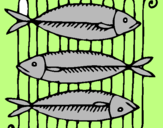 Coloring page Fish painted byjchgjgjg