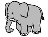 Coloring page Baby elephant painted bycharlotte