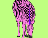 Coloring page Zebra painted bylisa