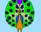 Coloring page Peacock painted byIratxe