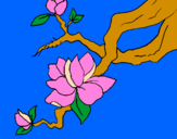 Coloring page Almond flower painted byKaitlin