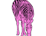 Coloring page Zebra painted bymaxi