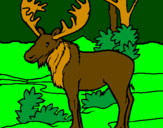 Coloring page Moose painted byDucky The Duck