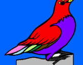 Coloring page Robin painted byALEJANDRO