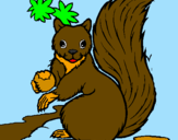 Coloring page Squirrel painted byIratxe