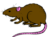 Coloring page Underground rat painted bymoshi count