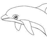 Coloring page Dolphin painted byMadison
