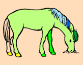 Coloring page Horse eating painted byjulie