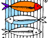 Coloring page Fish painted byssddfdrasddrdfcdadeereF